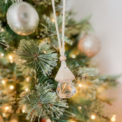 Hanging Fragrance Diffuser