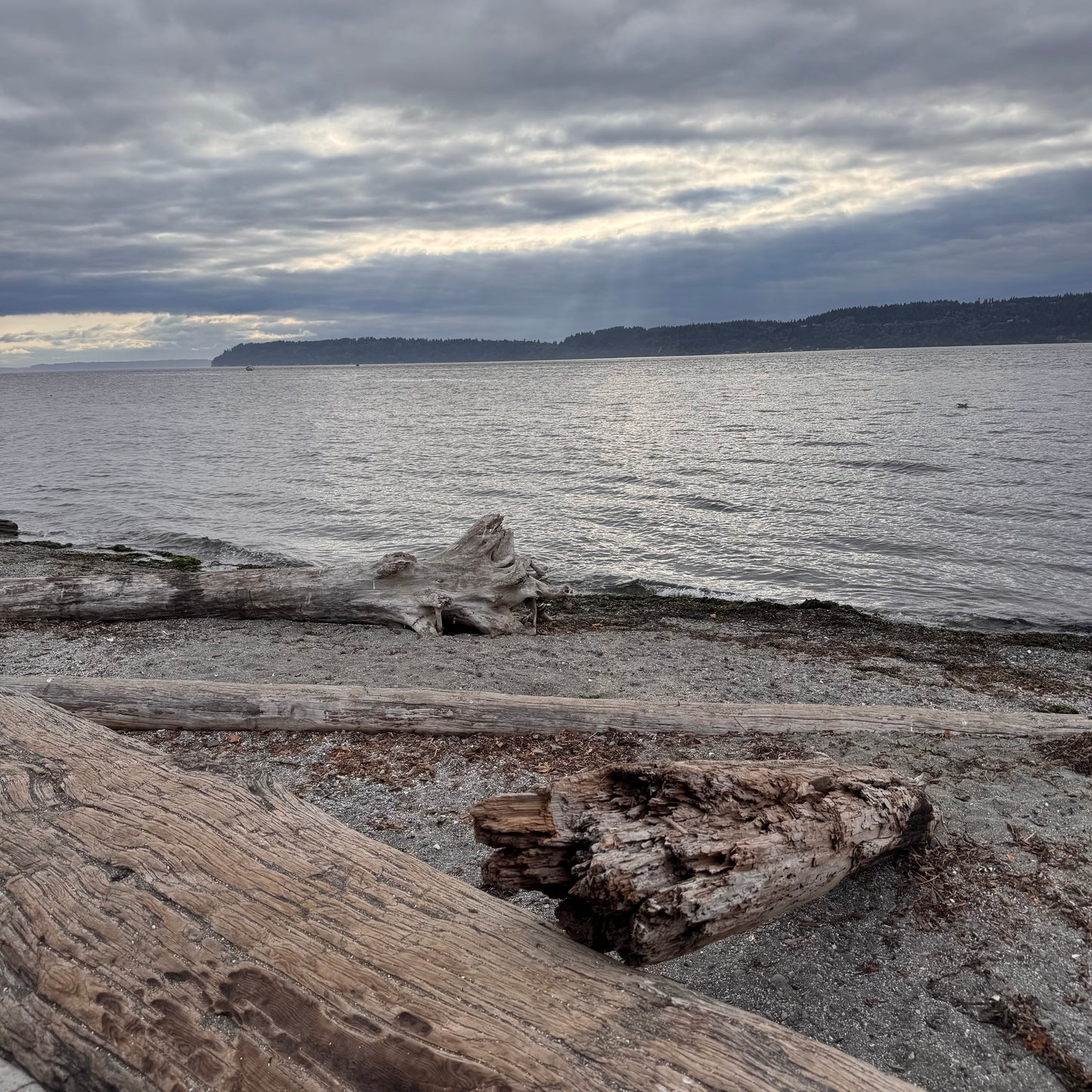 Coastal Diffuser 4oz